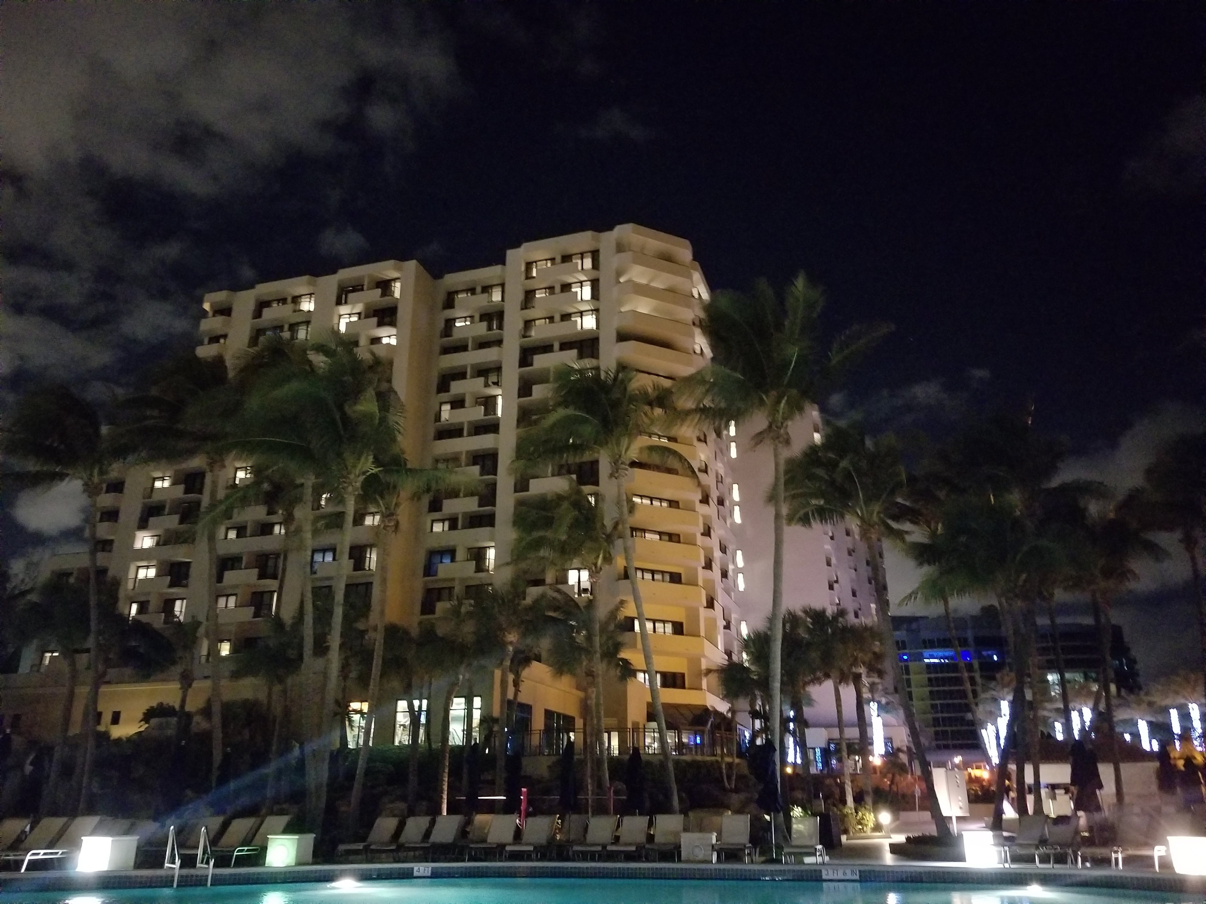 Miami high-rises and palms at night