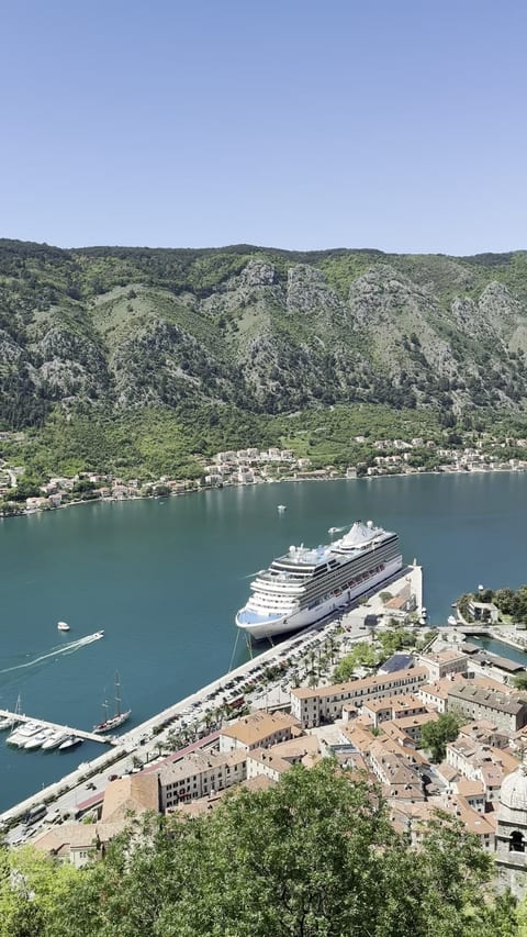 Kotor Fortress