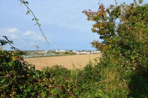 Skerries South Strand