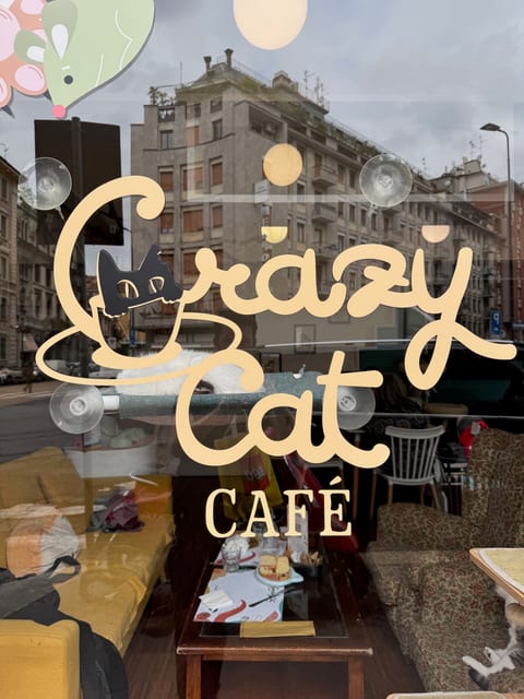 Crazy Cat Café