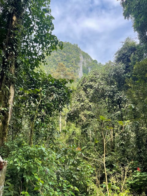 Deer Cave