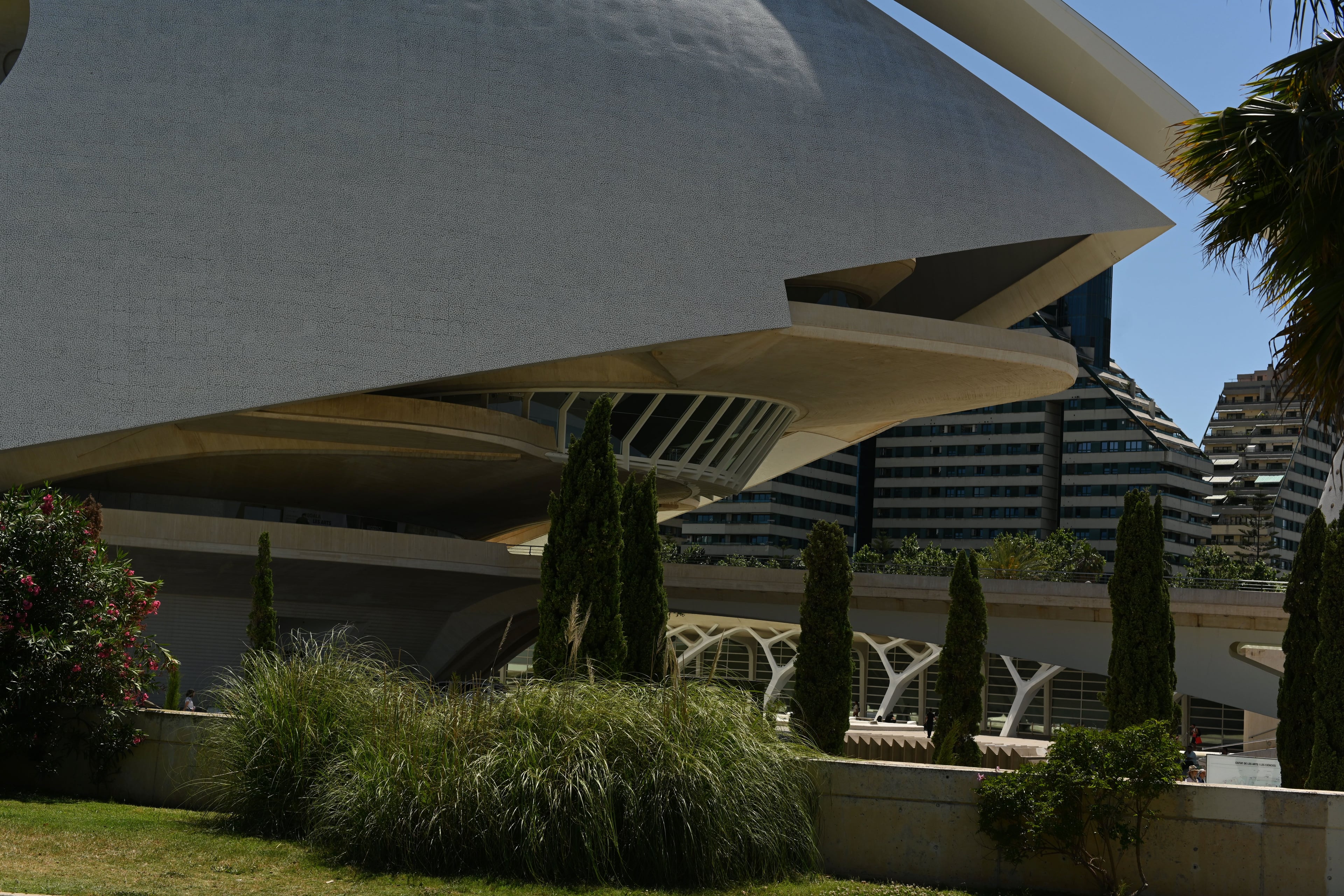 Calatrava architecture at Valencia's City of Arts and Sciences