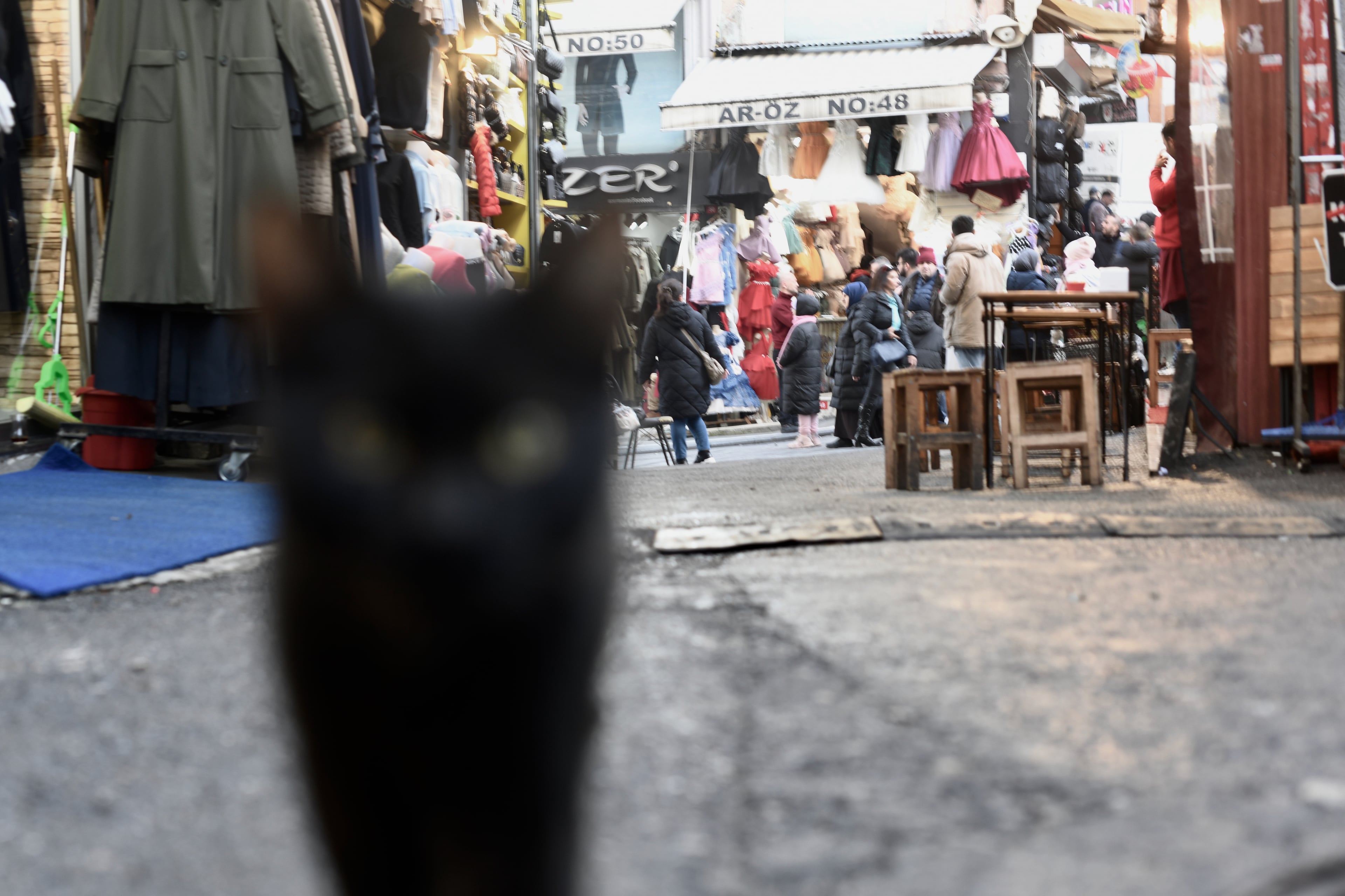 A street cat in the foreground with an Istanbul bazaar alley behind