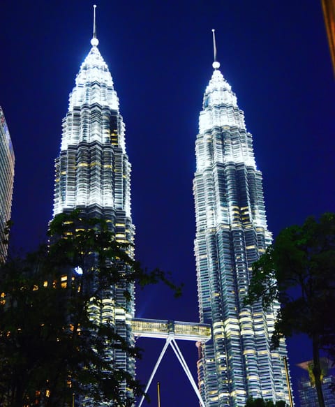 Petronas Towers