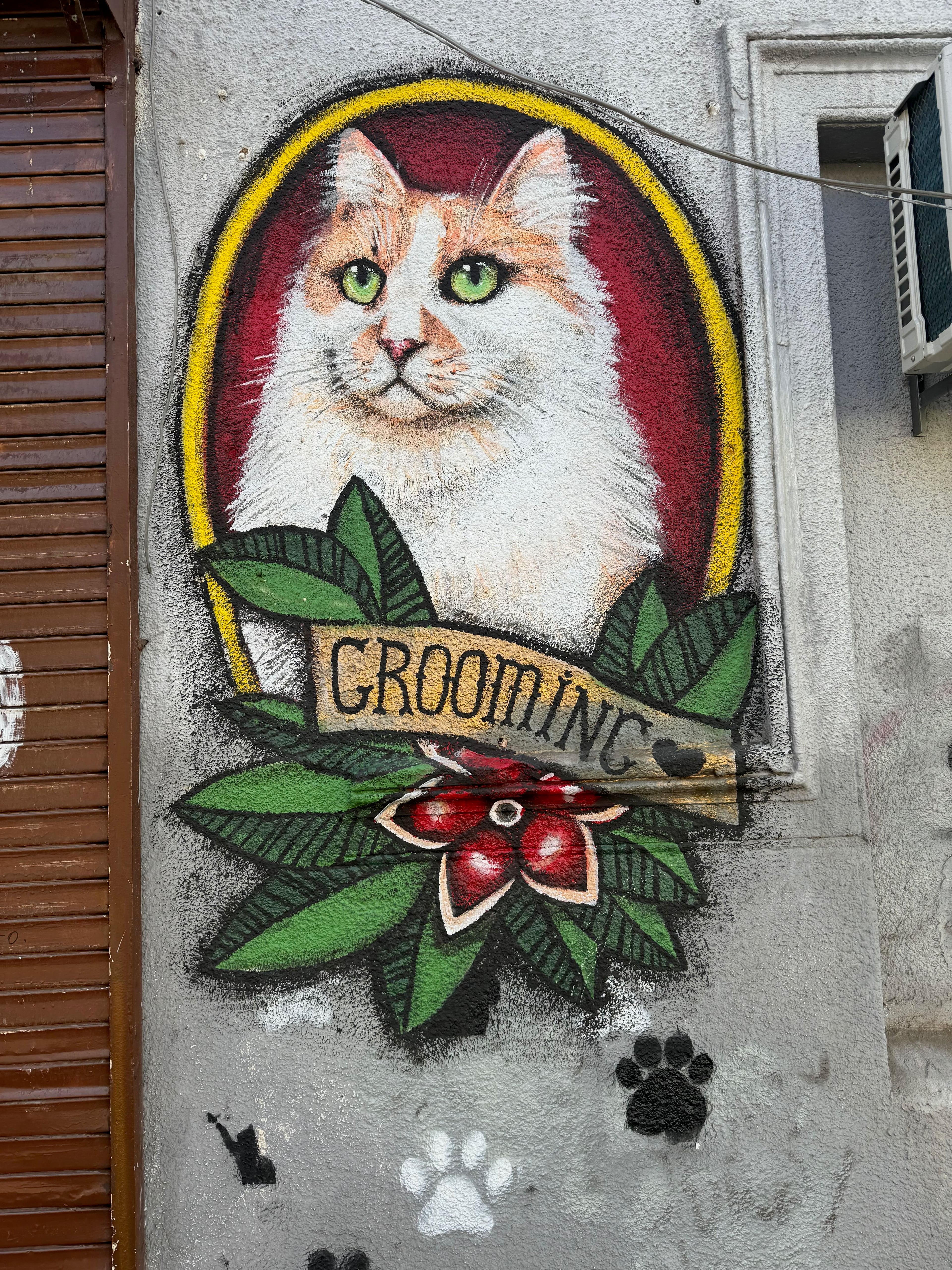 Tbilisi street art: a painted cat with a GROOMING banner on a city wall