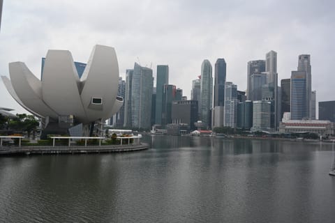 ArtScience Museum