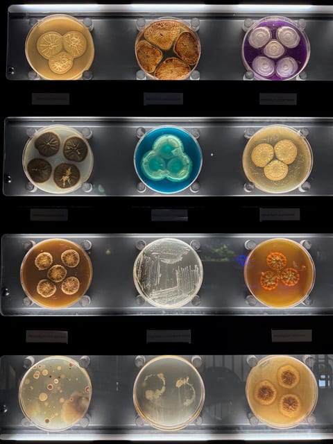 Micropia