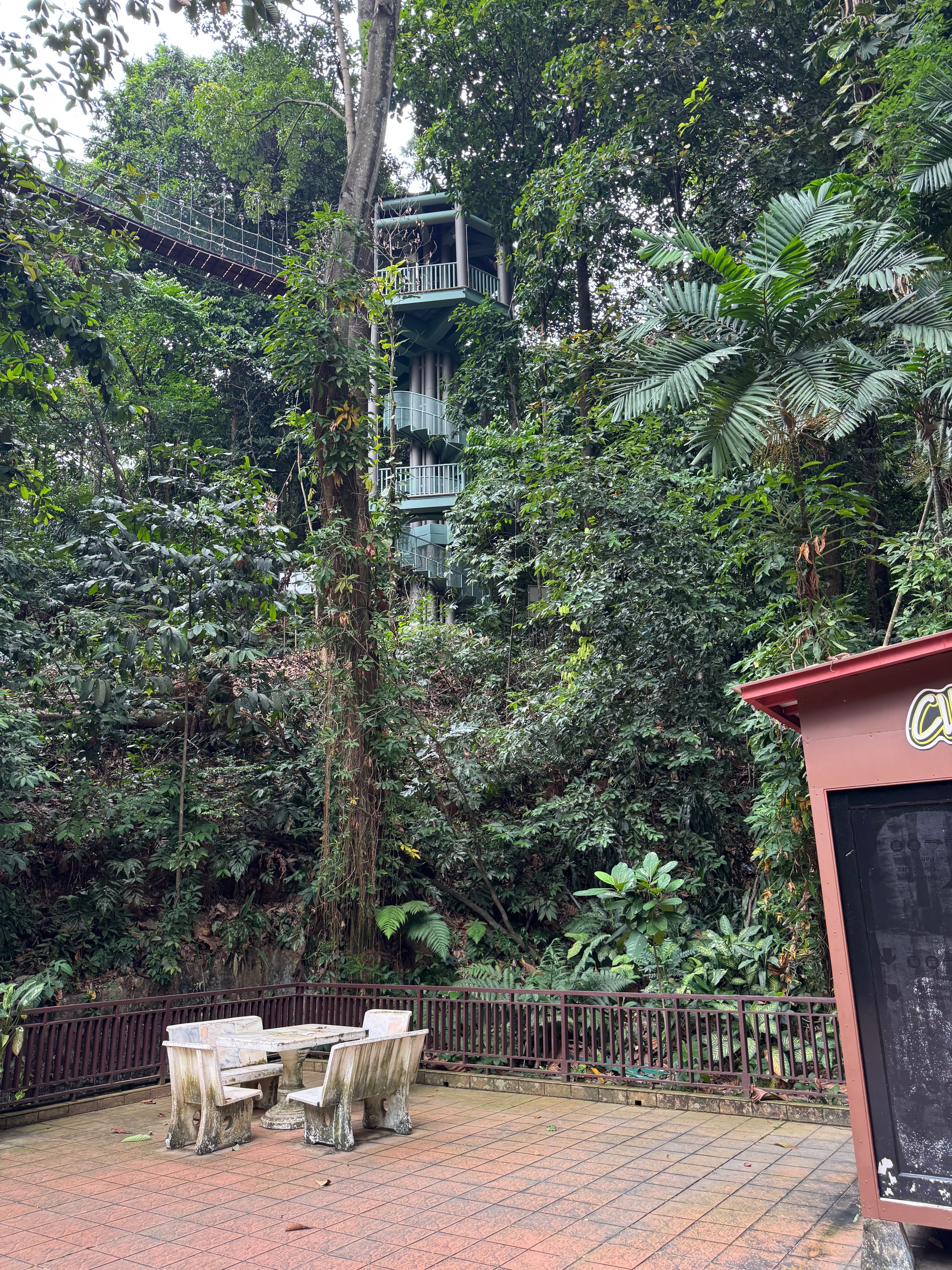 Canopy walkway above the rainforest at KL Forest Eco Park