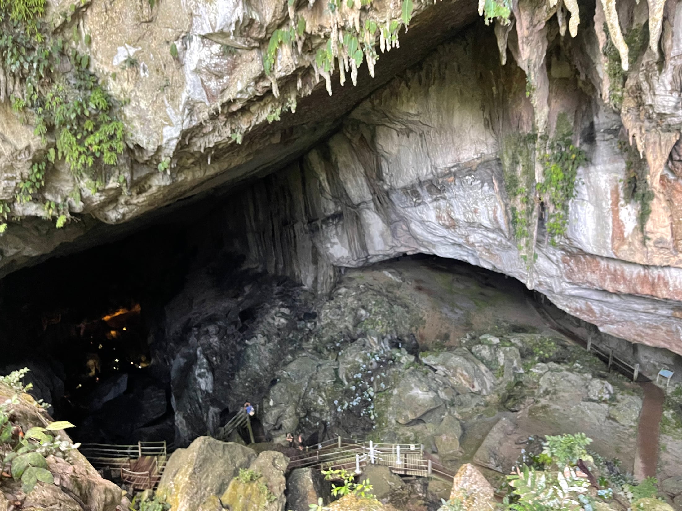 Limestone cave mouth inside Gunung Mulu National Park