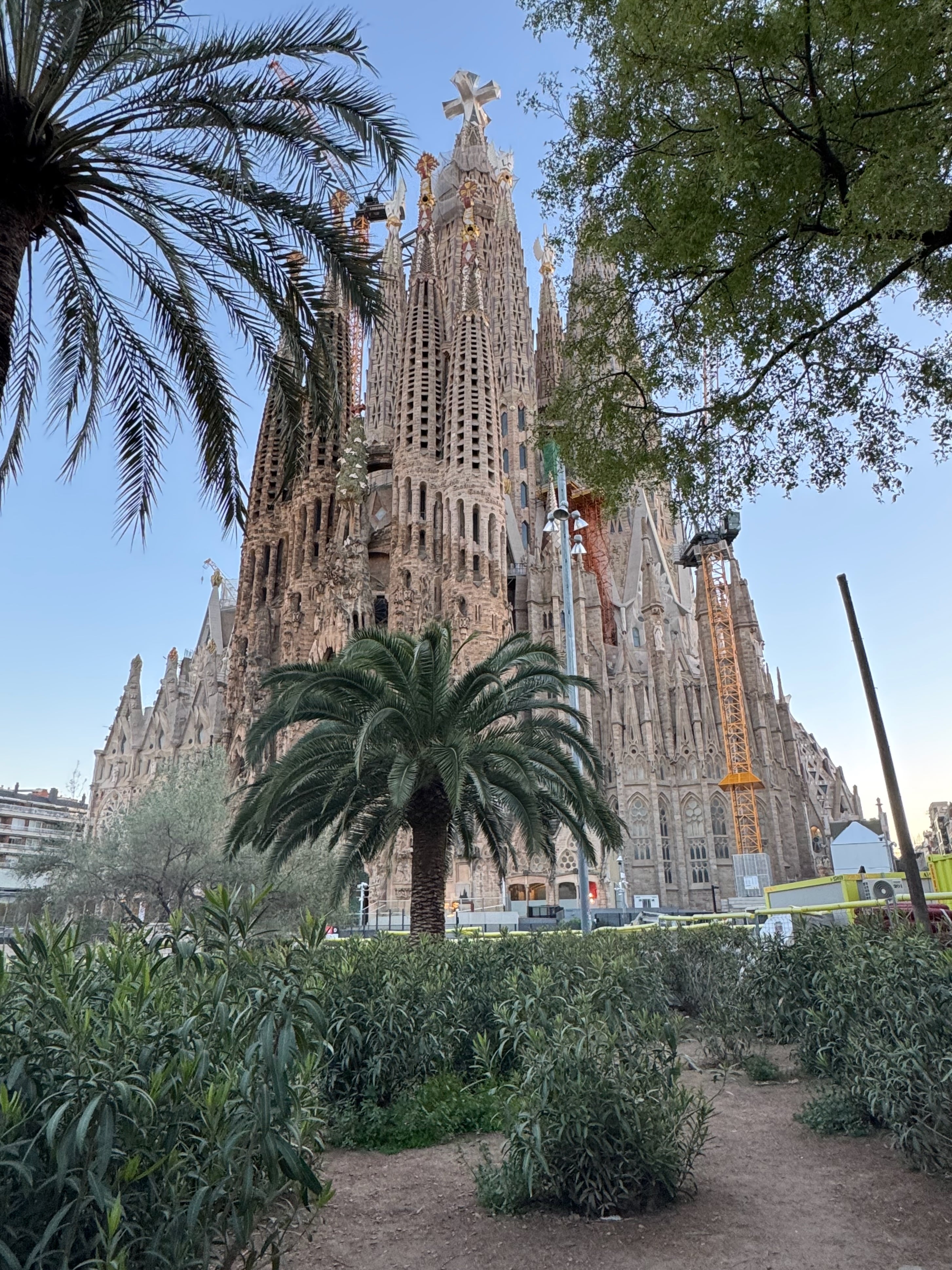 Sagrada Familia framed by palms and trees in Barcelona.