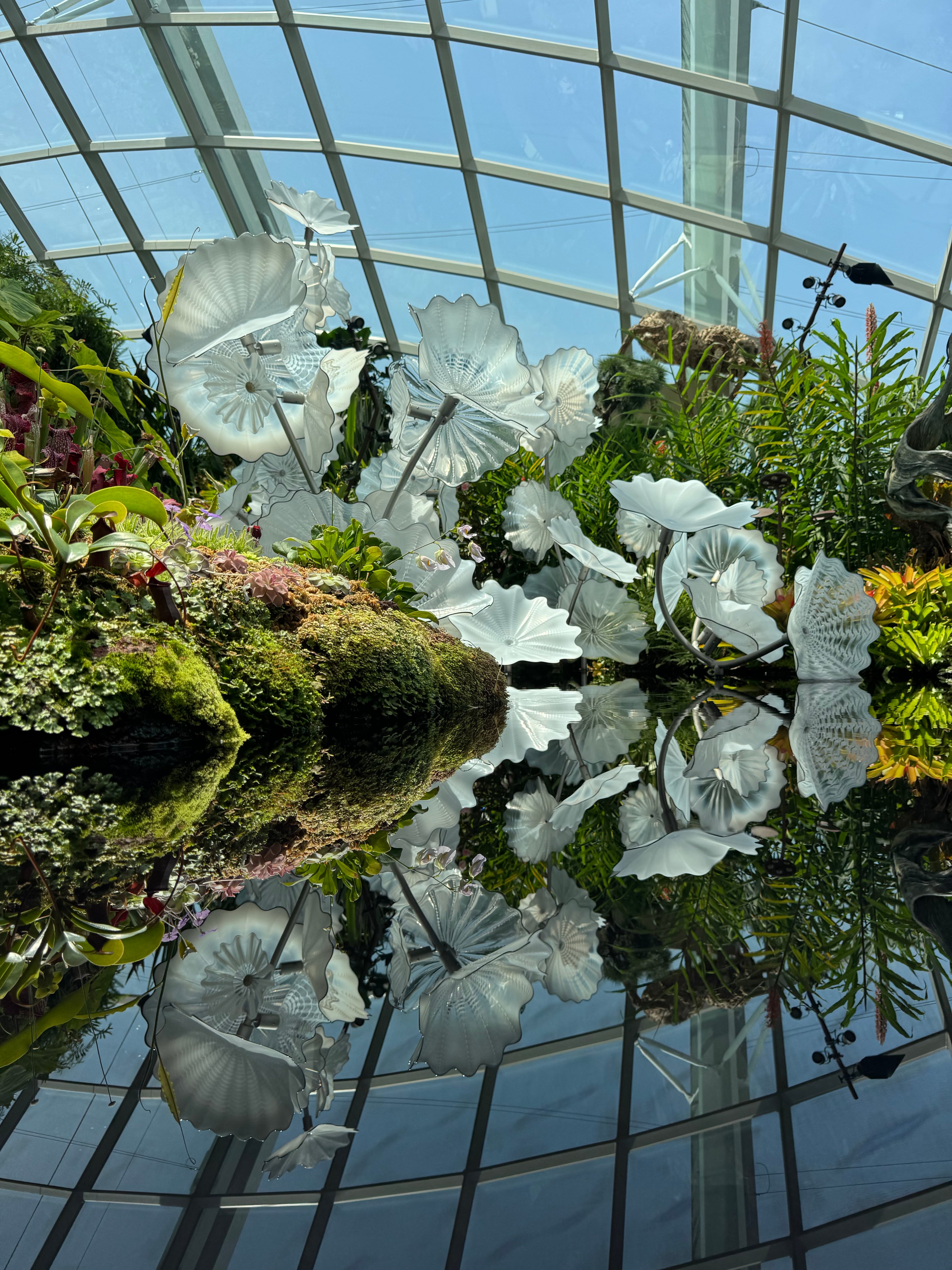 Dale Chihuly glass sculptures inside the Cloud Forest at Gardens by the Bay