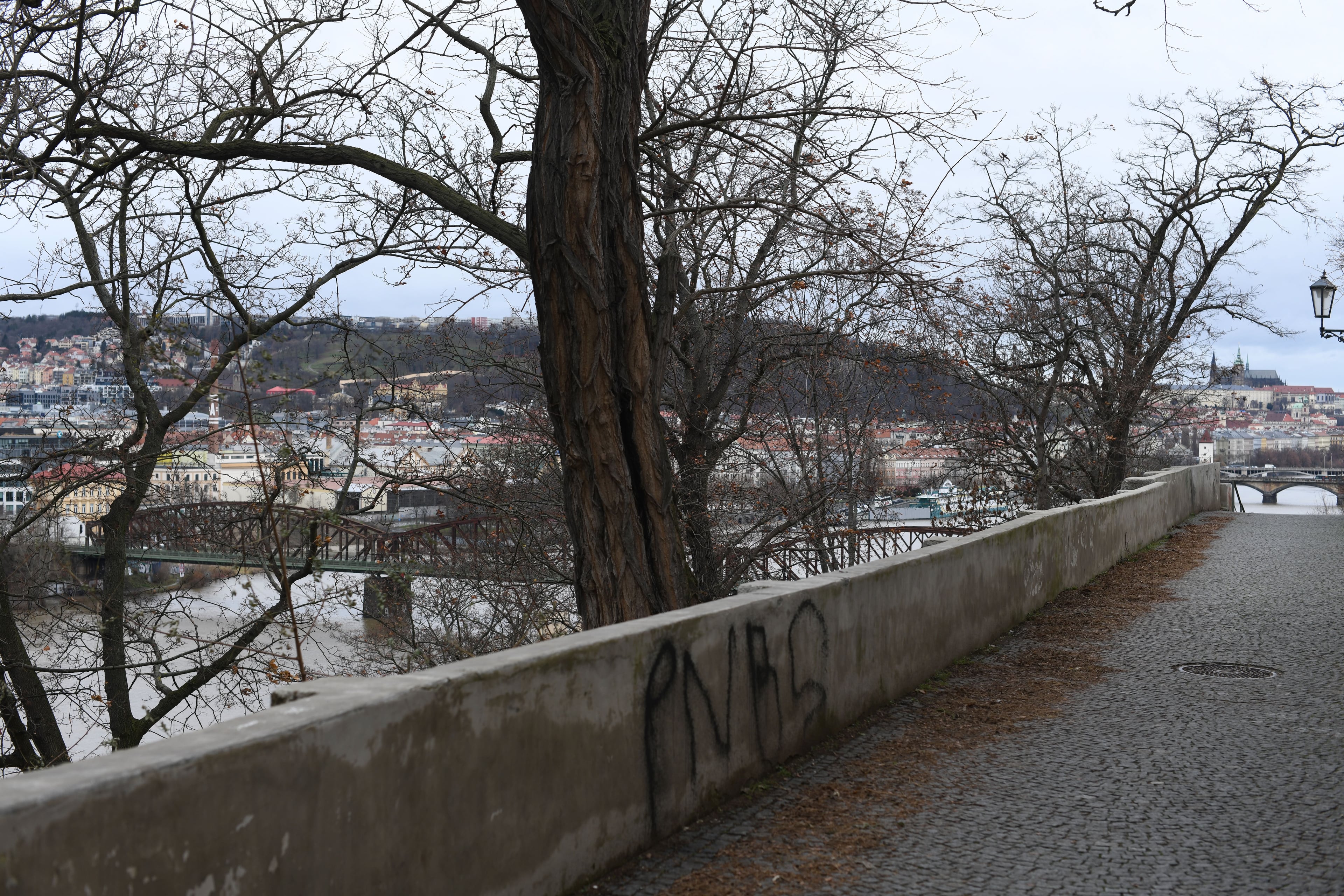 Prague rooftops and the Vltava bridges from a hillside walk