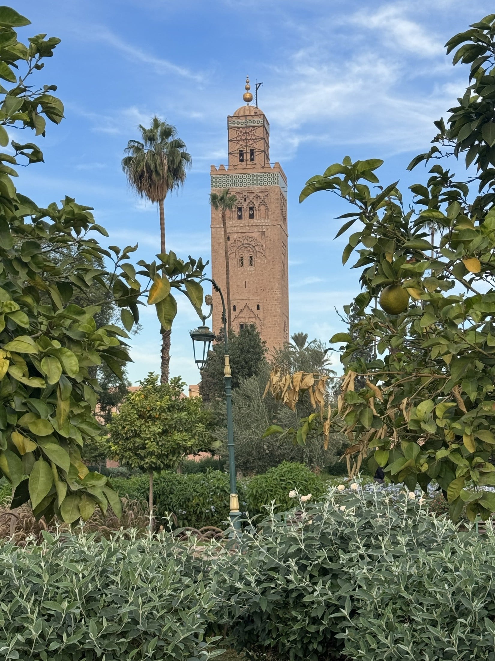 The Koutoubia minaret rising above the gardens in Marrakech