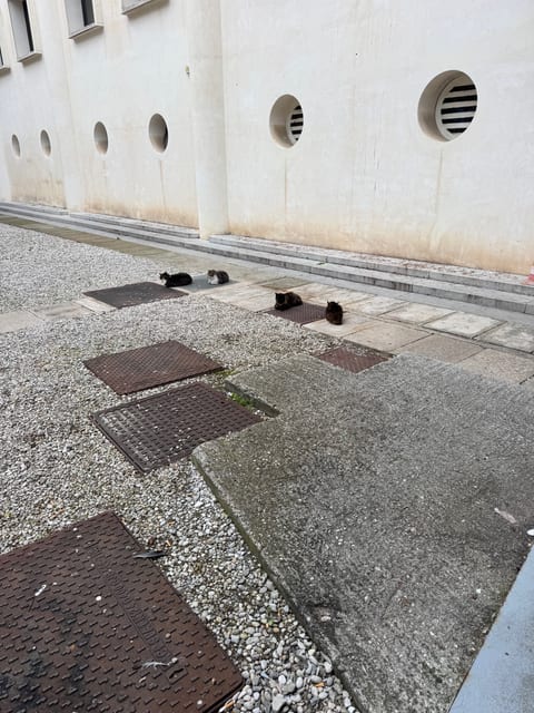 Ospedale SS. Giovanni e Paolo Pronto Soccorso — personal photo